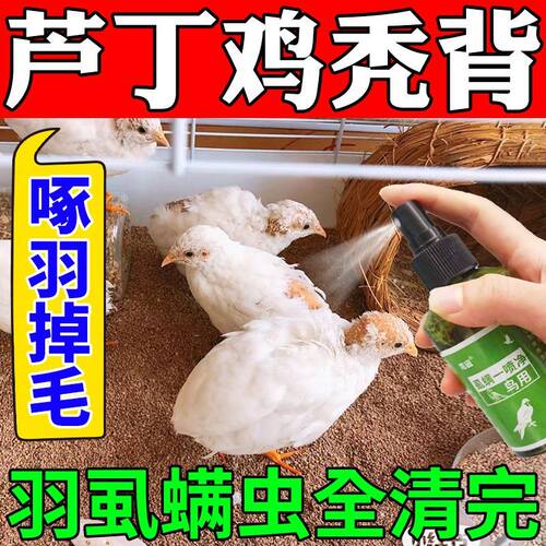 芦丁鸡除臭秃背防啄毛驱虫喷雾