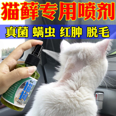 猫癣专用特效药治疗猫咪皮肤病