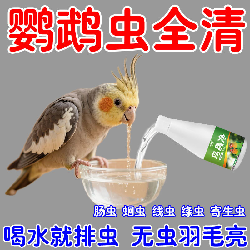 鹦鹉体内体外驱虫八哥鸽