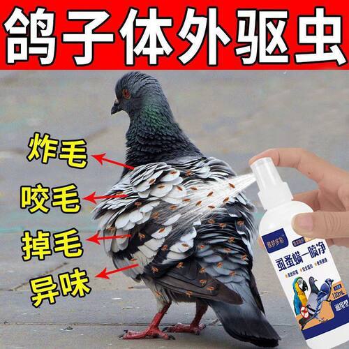 鸽子体外驱虫药虱螨一喷净羽虱