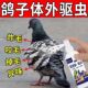 鸽子体外驱虫药虱螨一喷净赛鸽信鸽除羽虱螨虫体外寄生虫专用喷雾