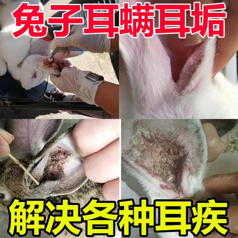 兔子耳螨药清除耳螨耳垢歪头病