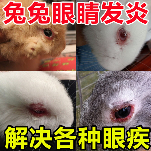 兔子眼药水眼睛发炎无效全额退