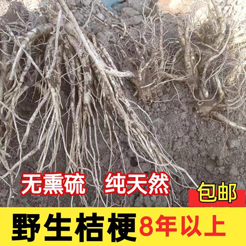 野生鲜桔梗无熏硫大山采挖包邮
