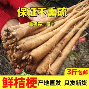正品东北鲜桔梗中药材包邮三斤朝鲜咸菜狗宝咸菜道拉基桔梗咸菜