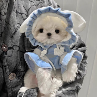 春秋冬宠物搞怪狐狸变身装毛绒绒外套恶搞狗狗衣服可爱连帽服装