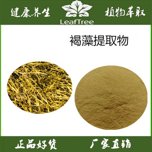 褐藻提取物 岩藻多糖褐藻多糖50%褐藻糖胶 褐藻粉 褐藻萃取精华粉