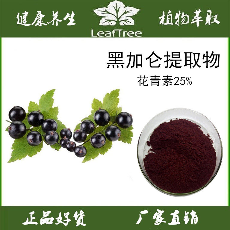 黑加仑提取物花青素萃取精华