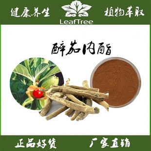 印度进口冬樱花南非醉茄提取物 印度人参萃取精华粉 醉茄内酯1%5%