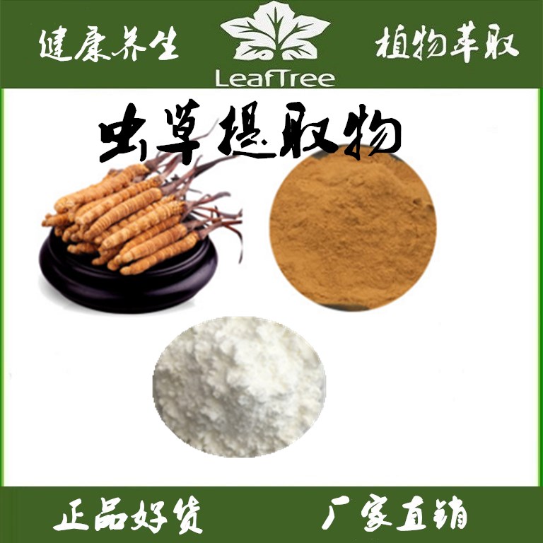 虫草提取物多糖虫草素子实体萃取