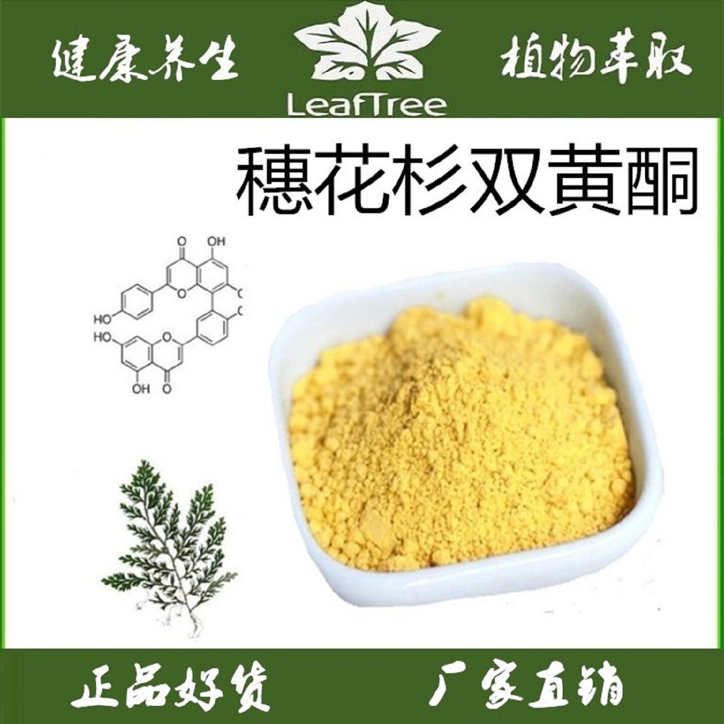 卷柏提取穗花杉双黄酮阿曼托黄酮