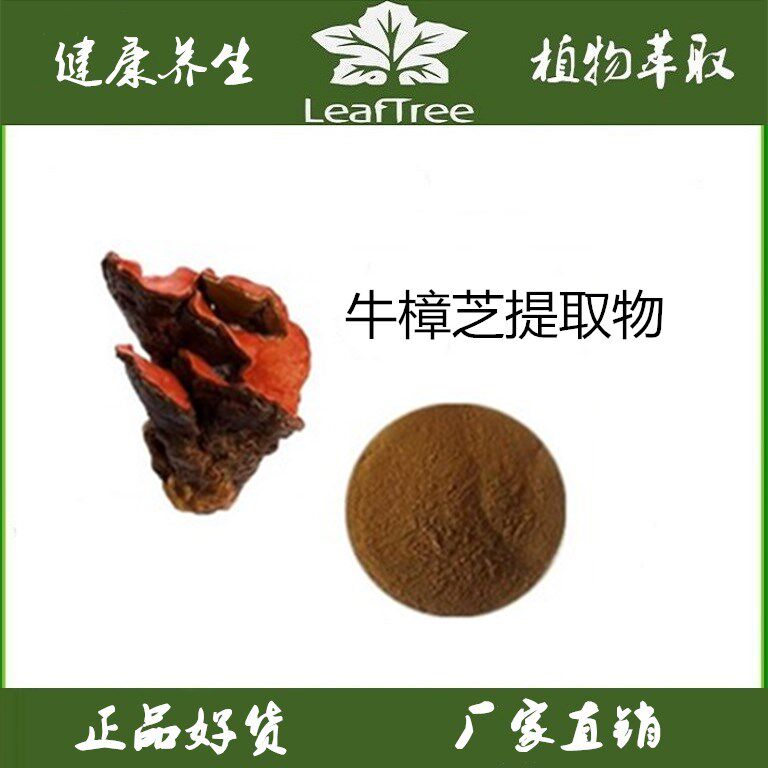 牛樟芝提取物 牛樟芝多糖40%牛樟芝三萜牛樟芝粉牛樟菇萃取精华粉
