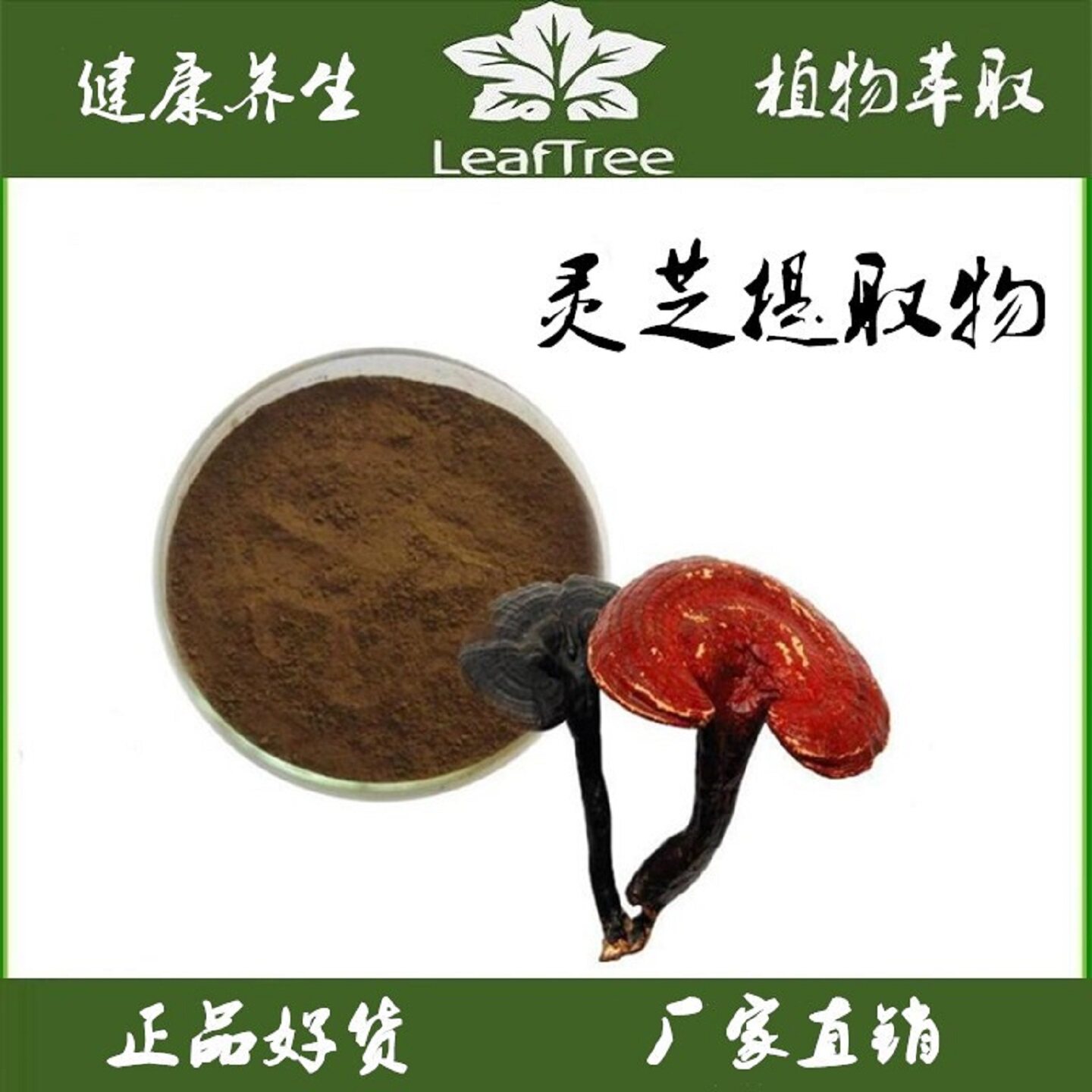 灵芝提取物浓缩粉灵芝子多糖
