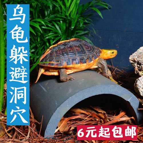 乌龟晒台爬台躲避洞穴造景生态缸