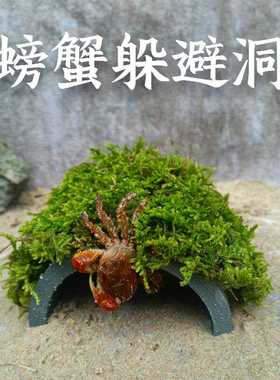 螃蟹躲避洞寄居蟹乌龟躲避爬宠陶土黄缘用品造景晒台洞穴苔藓瓦片