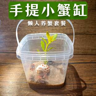 辣椒蟹专用缸生态缸微景观森林造景学生宿舍宠物办公桌螃蟹饲养盒