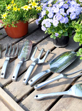 加厚园艺种花工具套装家用种植养花挖土耙花园盆栽种菜松土小铲子