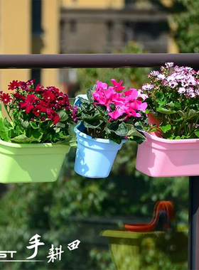 挂钩绿植花盆半圆形绿萝花盆墙面吊篮盆储水壁挂花盆 双钩