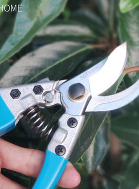 园林剪刀修剪树枝果树剪刀园艺剪修花剪强力植物剪子粗枝剪