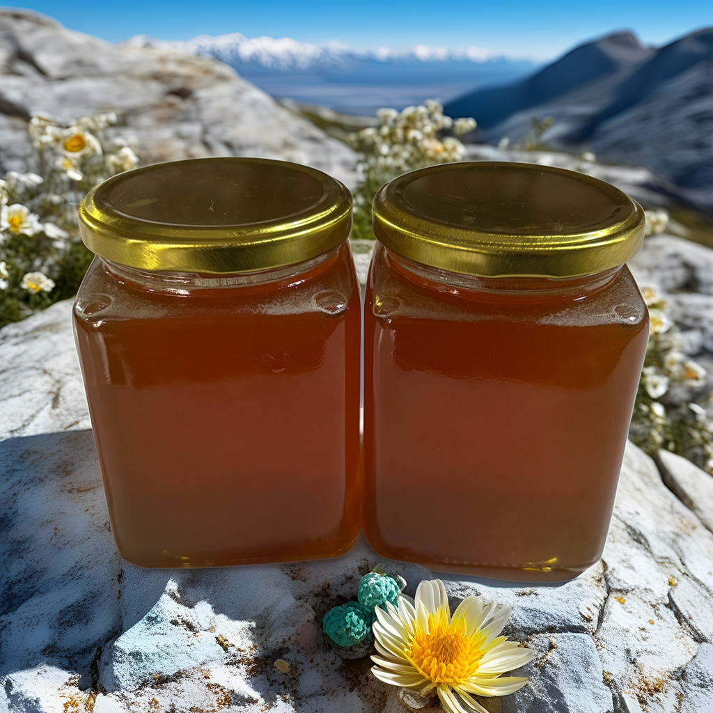2瓶装秦岭野生土蜂蜜中华蜂纯正天然自木桶结晶百花成熟原蜜正品
