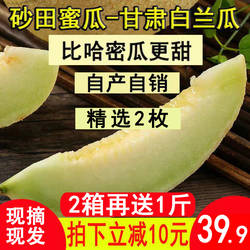 甘肃白兰瓜兰州网纹银蒂蜜瓜戈壁现摘现发甜瓜软糯民勤瓜州沙漠