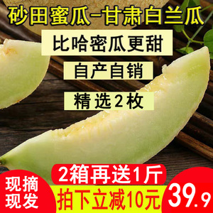 甘肃白兰瓜兰州网纹银蒂蜜瓜戈壁现摘现发甜瓜软糯民勤瓜州沙漠