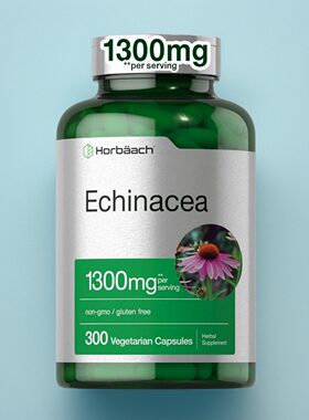 美国成人紫锥菊胶囊Echinacea 家人保健免疫力帮助300粒植物提取