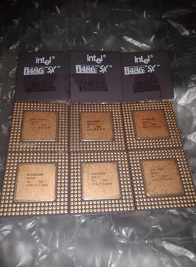 【议价产品】全新 inteⅠ486CPU询价