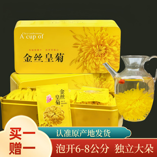 新金丝皇菊一朵一杯大朵黄山菊花茶贡菊铁盒伴手礼盒20朵菊花茶叶