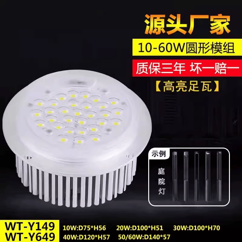 市政工程户外景观玉兰灯模组50W