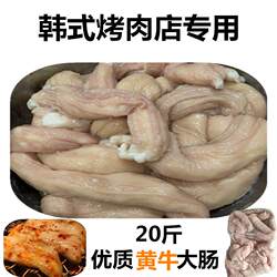 黄牛大肠免洗牛肠烧烤韩式烤牛肠串牛杂啤酒菜牛肠新鲜烧生牛大肠