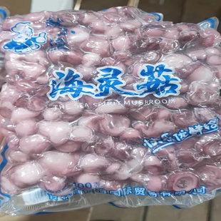 大号海灵菇延边啤酒菜鱿鱼辣炒酱海灵菇海鲜章鱼吸盘海灵菇