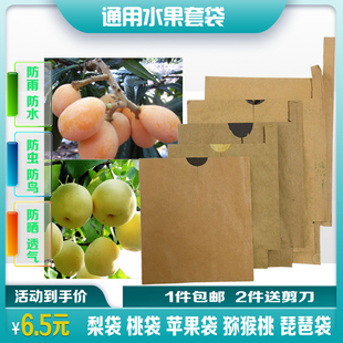 梨套袋防雨防水防虫鸟苹果芒果葡萄石榴水果双层桃袋枇杷专用套袋