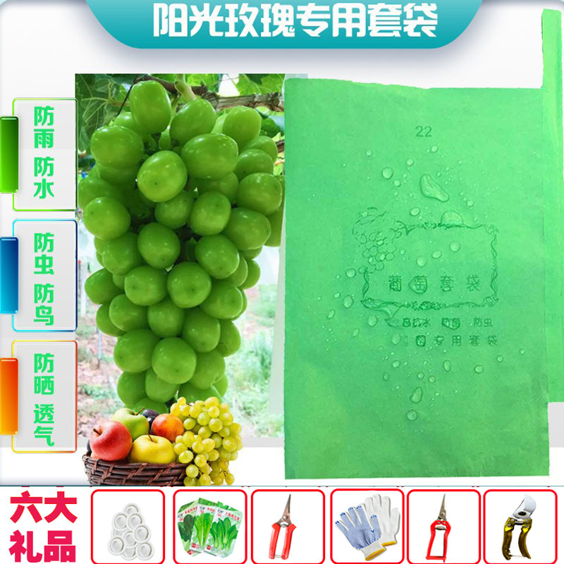 葡萄套袋专用纸袋阳光玫瑰袋防雨防水防虫鸟莲雾芒果枇杷水果套袋