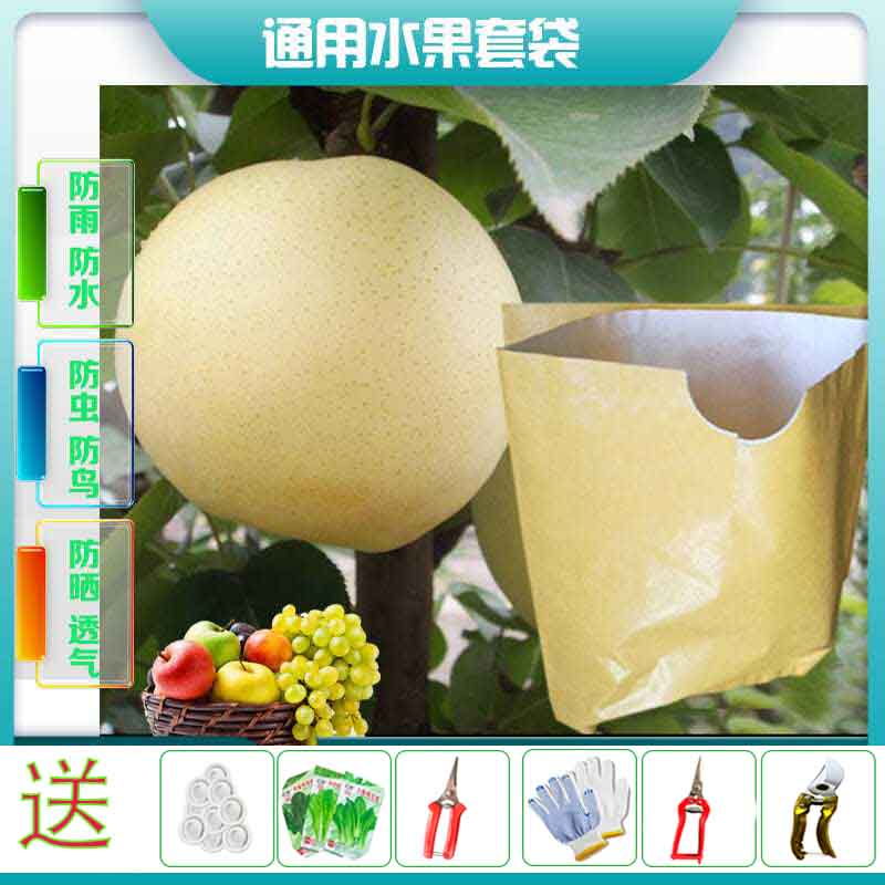 黄金梨专用套袋透光双层防水防虫
