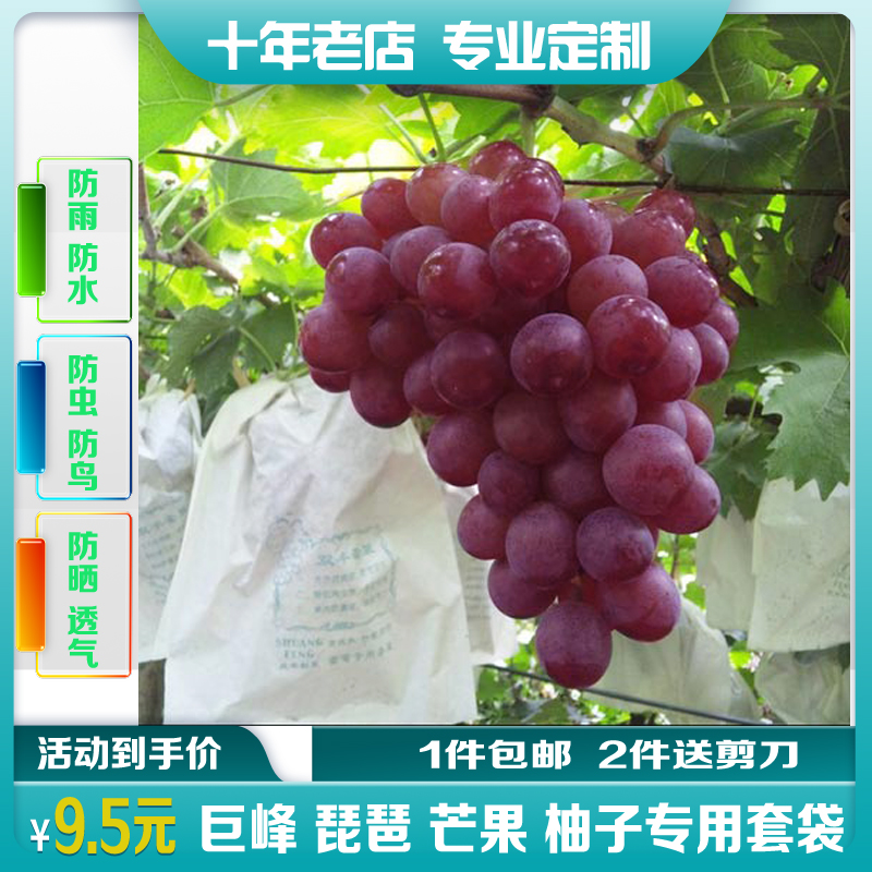 白色葡萄套袋纸袋芒果防雨包邮