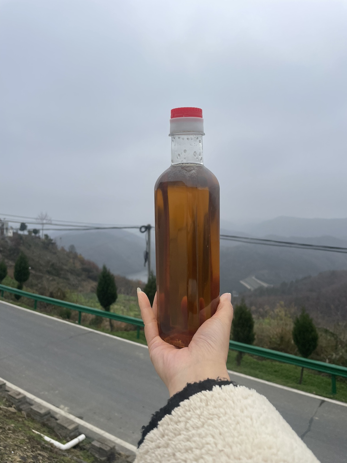 新榨！大山山茶油农家自榨茶籽油茶油无添加