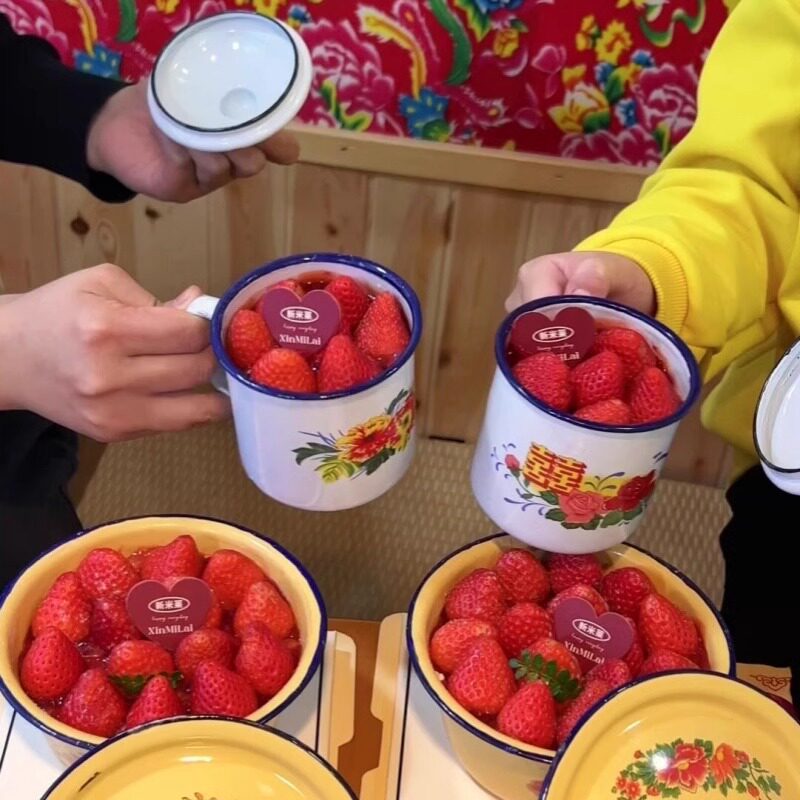 网红同款复古80年代搪瓷杯草莓蛋糕装饰大红花复古趣味生日装扮
