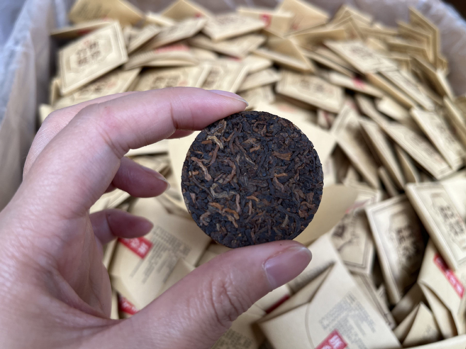 早春班章宫廷8g小饼普洱茶熟茶陈年普洱小圆饼 500克古树纯料醇香