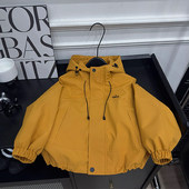 男童春秋装 中大童儿童连帽外套小男孩炸街痞帅外套 冲锋衣2026新款