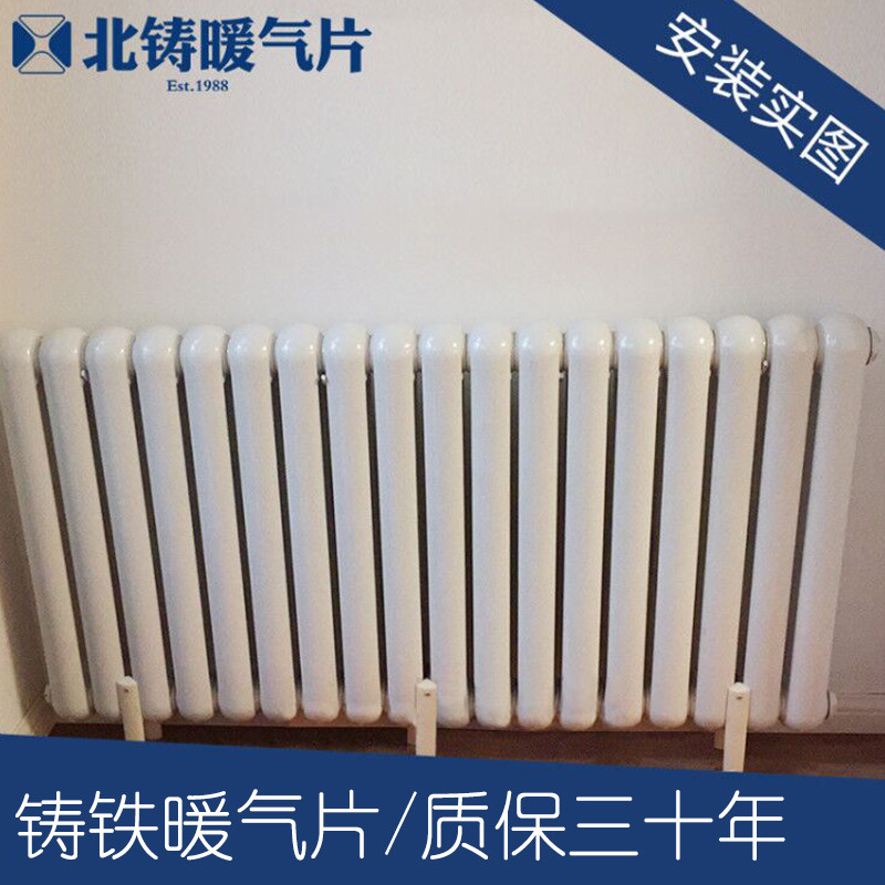 北铸卫生间暖气片家用水暖散热片壁挂式明装铸铁烤漆集中供暖客厅