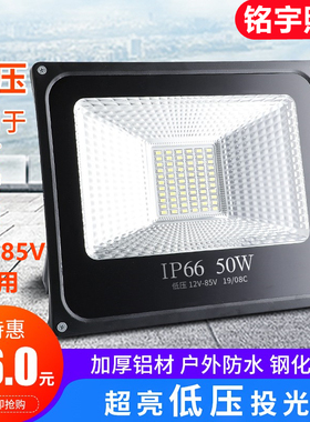 LED低压投光灯12V24V36V48V60V交直流户外船用电瓶夜市地摊照明灯