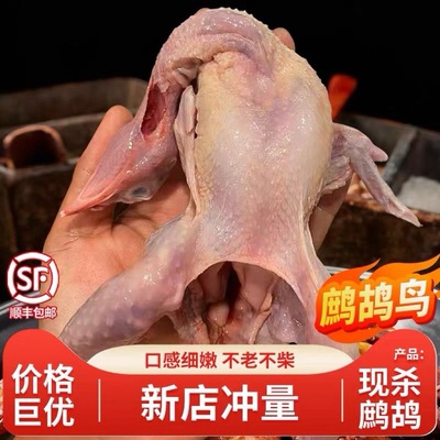 鹧鸪鸟现杀新鲜飞龙鸟肉斑生鲜鸠鸟石鸡呱呱鸡农家散养老鹧鸪鸟肉