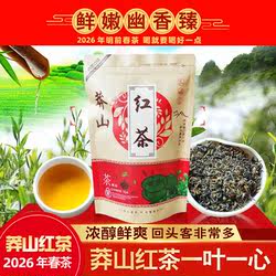 湖南特产郴州宜章正宗莽山红茶一叶一心春茶特级浓香型新茶叶250g