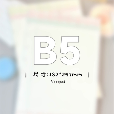 SHOCK手可 | B5合集原创双面便签活页纸内页替芯计划本记事本手账