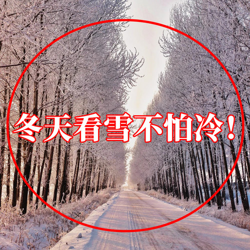 哈尔滨旅游必备防寒装备暖脚足贴