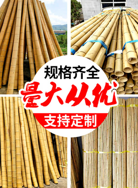 装修竹子防腐竹竿旗杆白竹搭架室内装饰吊顶户外栅栏篱笆围栏毛竹