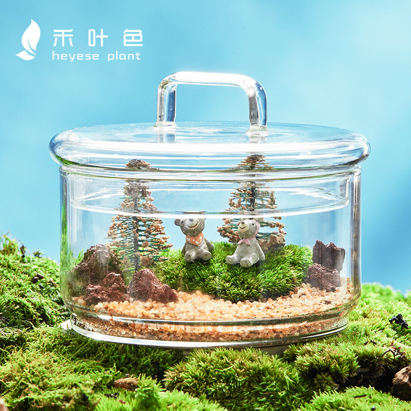 苔藓微景观盆栽生态玻璃瓶奇趣创意DIY植物R小盆景桌面好养绿植