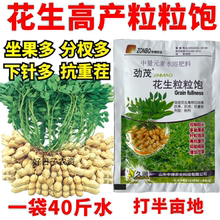 花生粒粒饱花生控旺膨大素花生下针剂多果素窝窝多花生增产专用肥