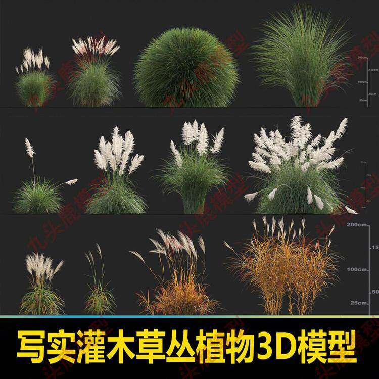 写实灌草丛植物3D模型贴图 三维游戏场景 景观设计CG设计参考素材